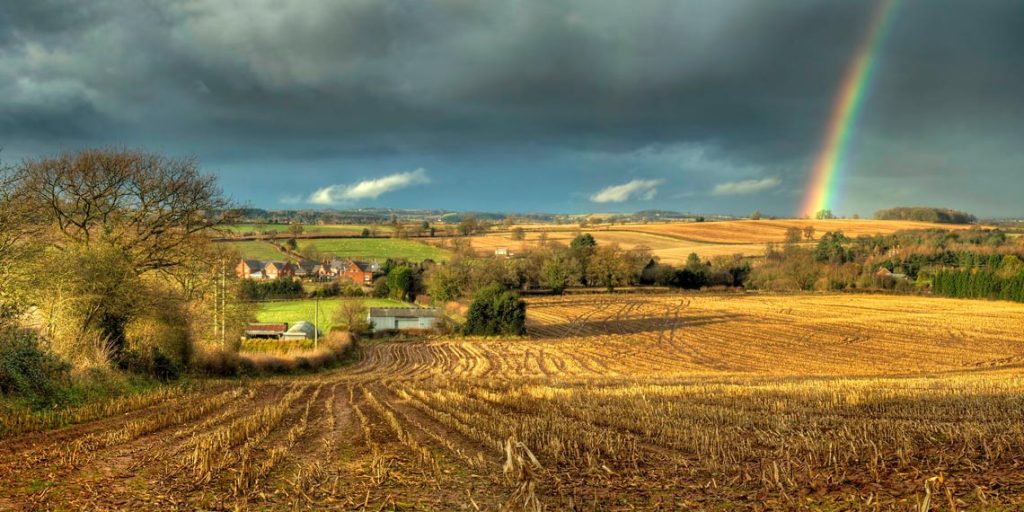 Clent from Belbroughton